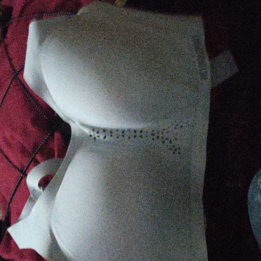 Victoria Secret Angel Max Sports Bra
